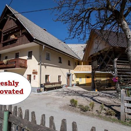 Farmhouse Pri Miklavu Bohinj Ngoại thất bức ảnh