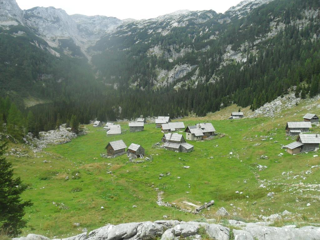 Farmhouse Pri Miklavu Bohinj Ngoại thất bức ảnh