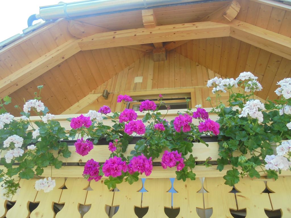 Farmhouse Pri Miklavu Bohinj Ngoại thất bức ảnh