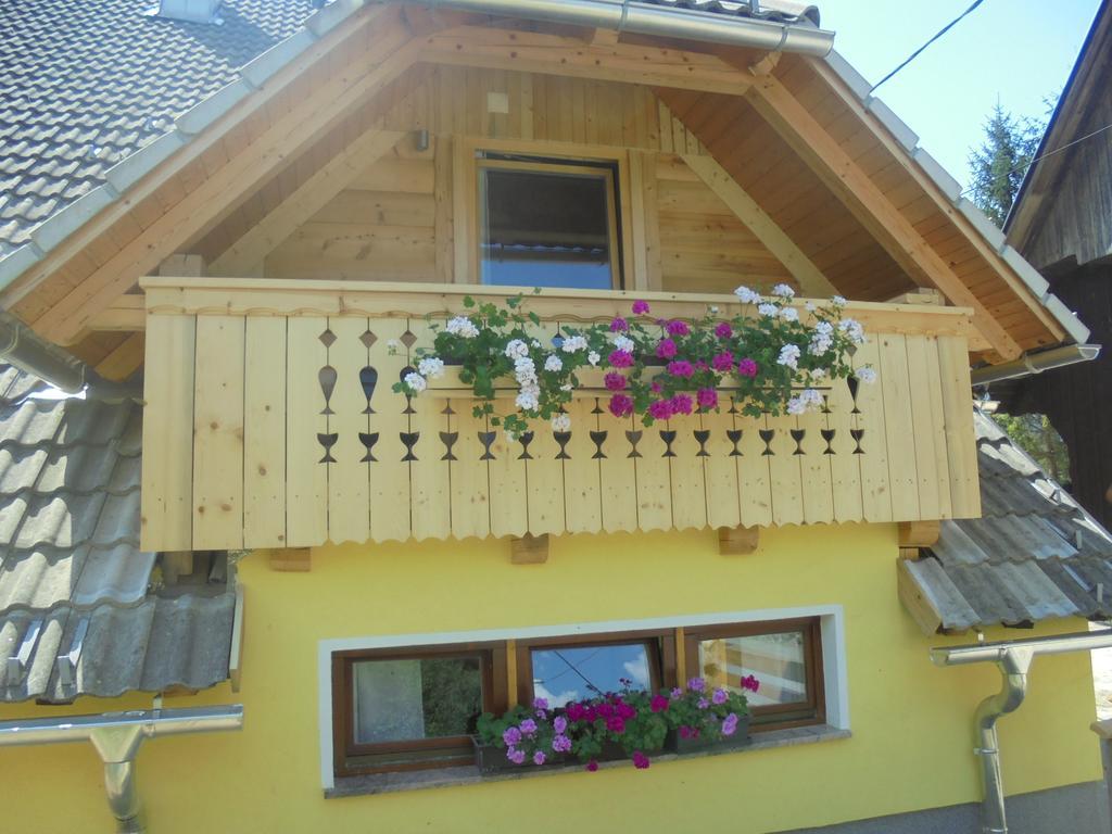 Farmhouse Pri Miklavu Bohinj Ngoại thất bức ảnh