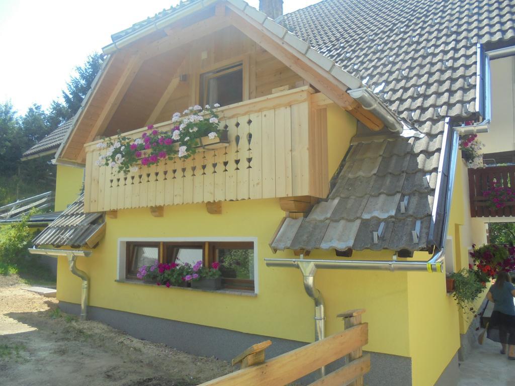 Farmhouse Pri Miklavu Bohinj Ngoại thất bức ảnh