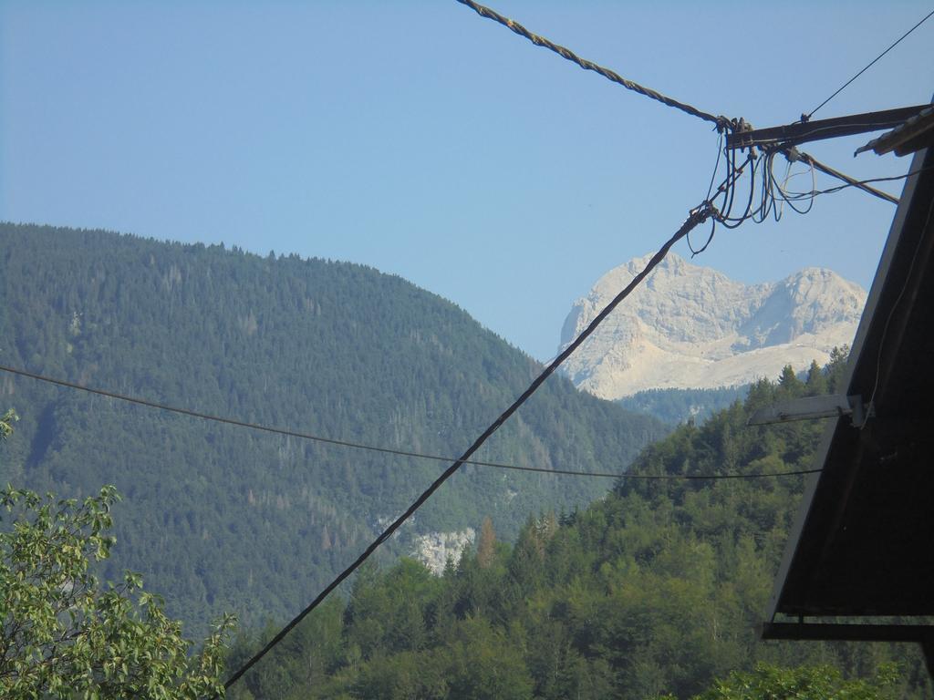 Farmhouse Pri Miklavu Bohinj Ngoại thất bức ảnh