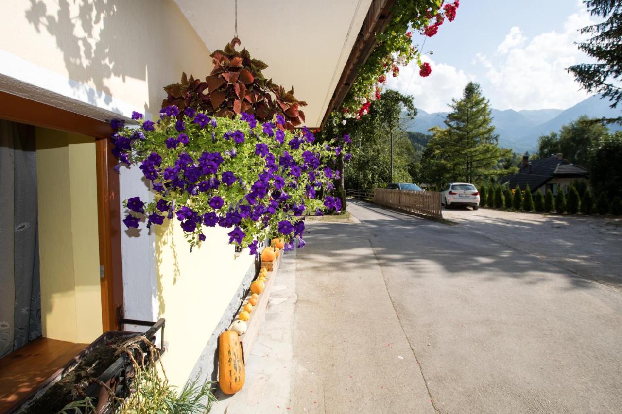 Farmhouse Pri Miklavu Bohinj Ngoại thất bức ảnh