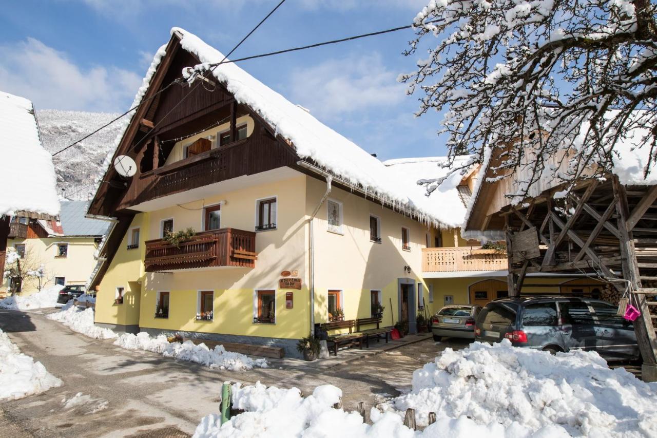Farmhouse Pri Miklavu Bohinj Ngoại thất bức ảnh