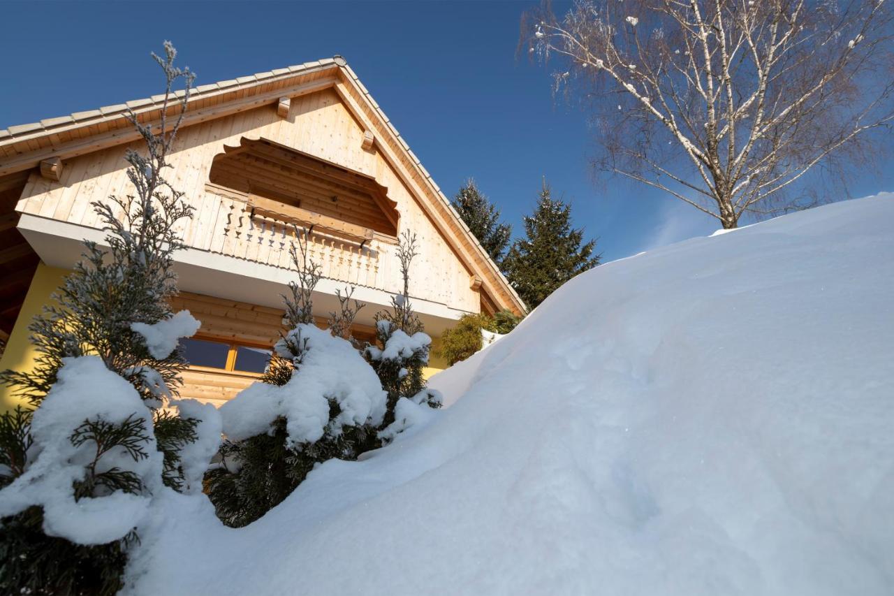 Farmhouse Pri Miklavu Bohinj Ngoại thất bức ảnh