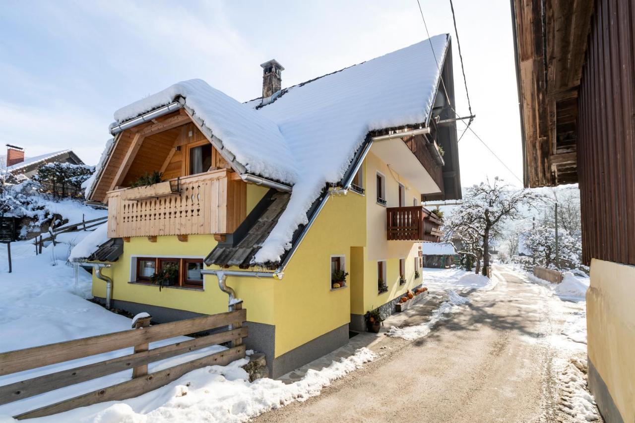 Farmhouse Pri Miklavu Bohinj Ngoại thất bức ảnh